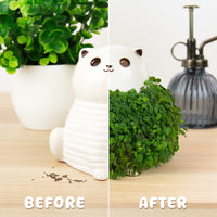 Gift Republic Plantenpot met chiazaden - Kat