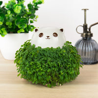 Gift Republic Plantenpot met chiazaden - Kat