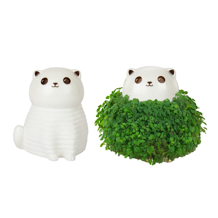 Gift Republic Plantenpot met chiazaden - Kat