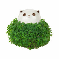 Gift Republic Plantenpot met chiazaden - Kat