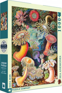 New York Puzzle Company Puzzel Zeeanemonen - 1000 stukjes