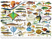 New York Puzzle Company Puzzle Fisch 1000 Teile