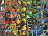 New York Puzzle Company Puzzel Rainbow of Birds - 1000 stukjes puzzel