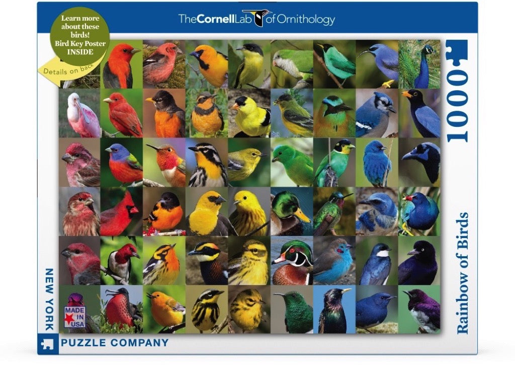 New York Puzzle Company Puzzel Rainbow of Birds - 1000 stukjes puzzel