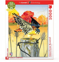 New York Puzzle Company Cornell Lab Amerikanischer Turmfalke Puzzle - 1000 Teile