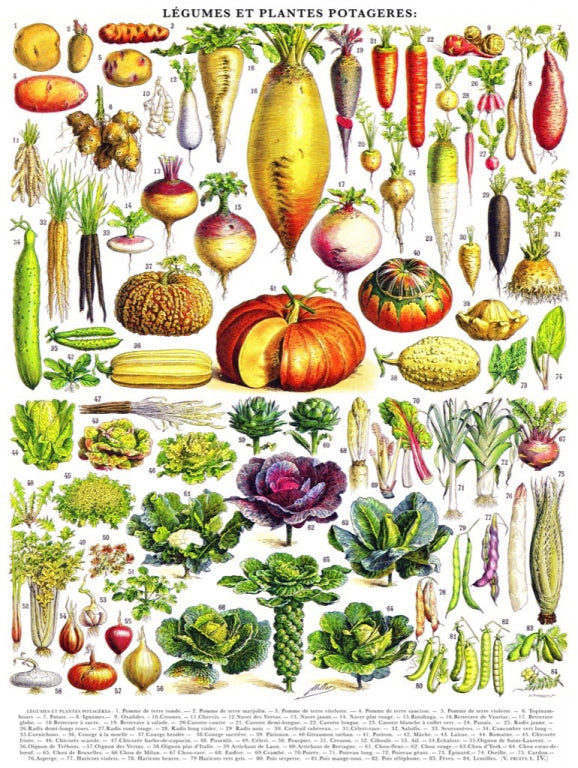 New York Puzzle Company Puzzel Groenten - 1000 stukjes