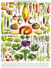 New York Puzzle Company Puzzel Groenten - 1000 stukjes