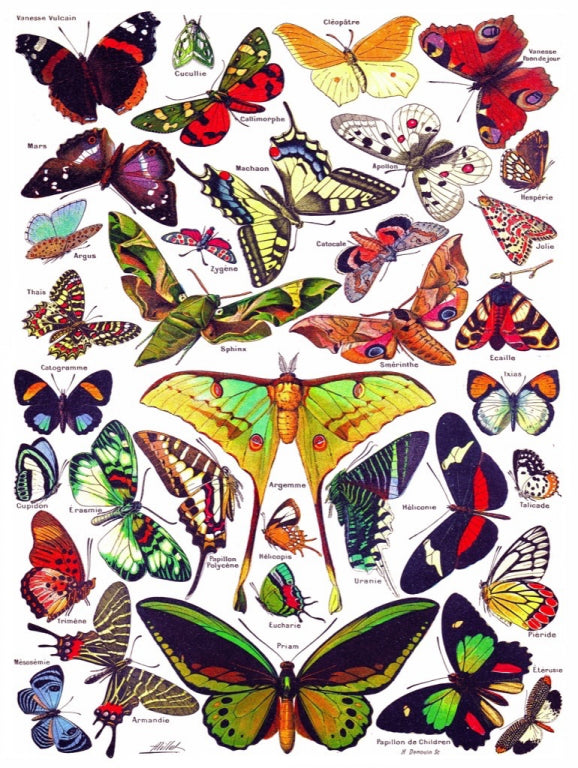 New York Puzzle Company Puzzel Butterflies~Papillons - 1000 stukjes