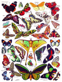 New York Puzzle Company Puzzel Butterflies~Papillons - 1000 stukjes