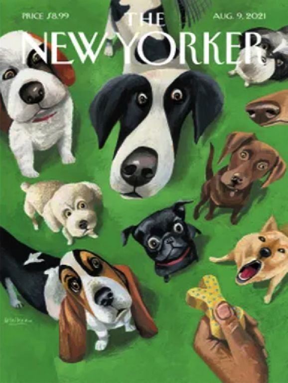 New York Puzzle Company Summer Treat Puzzle - 500 pieces