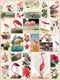 New York Puzzle Company Flamingos and Flowers Puzzle - 1000 pieces