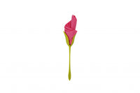 Peleg Design Servethouders Bloom set van 4