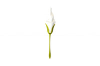Peleg Design Servethouders Bloom set van 4