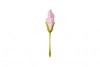Peleg Design Servethouders Bloom set van 4