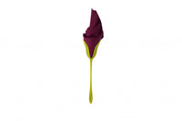 Peleg Design Servethouders Bloom set van 4