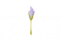 Peleg Design Servethouders Bloom set van 4