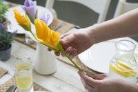 Peleg Design Servethouders Bloom set van 4