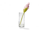 Peleg Design Servethouders Bloom set van 4
