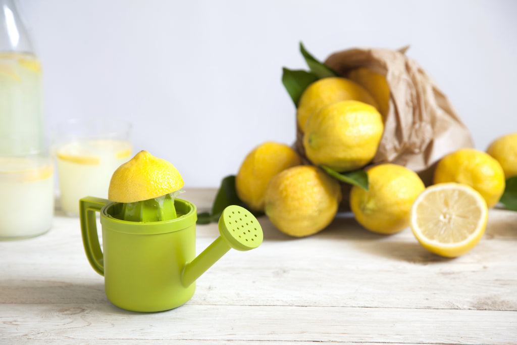 Peleg Design Citruspers en schenkkan 2-in-1 Lemoniere
