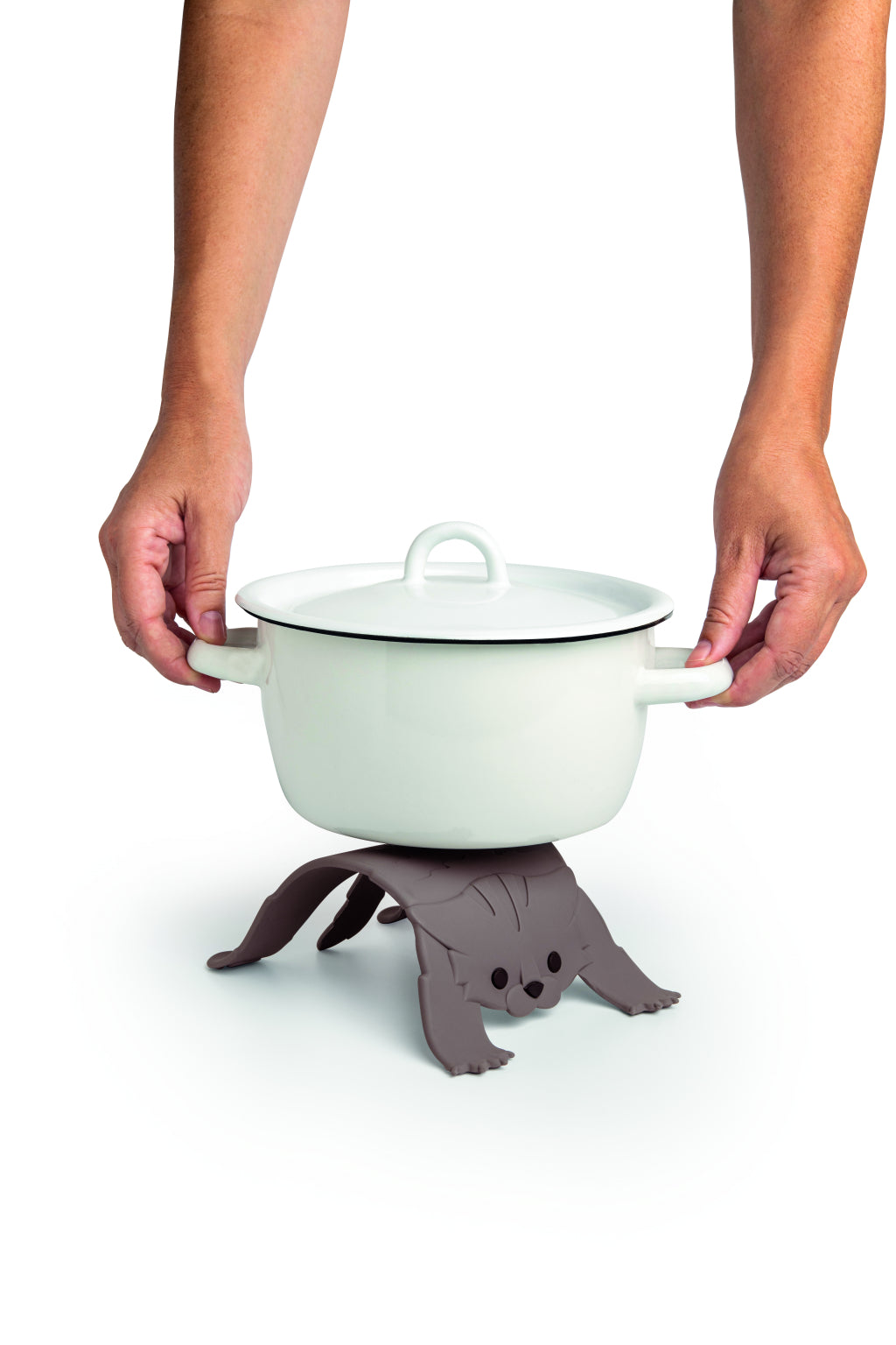 Ototo Untersetzer Verängstigte Katze