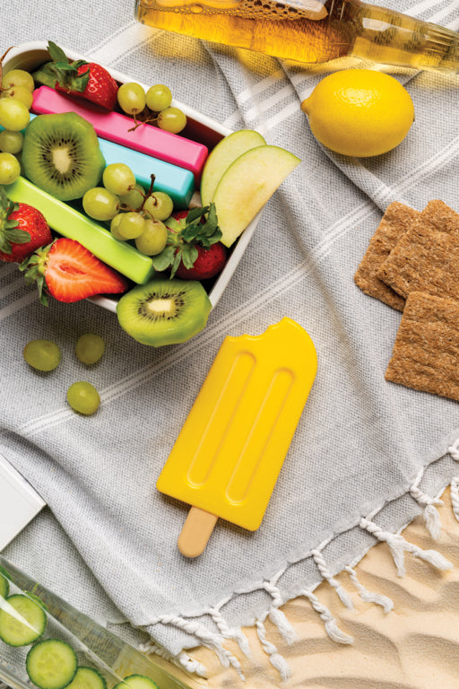 Ototo Koelelementen Ice Pops set van 4