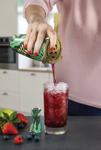 Ototo Cocktailset Sip Safari