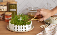 Peleg Design Zaadkiemer Zaadveld