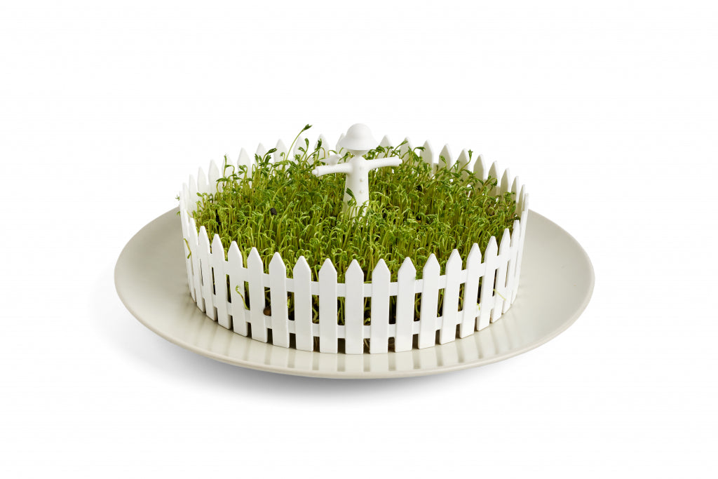Peleg Design Zaadkiemer Zaadveld