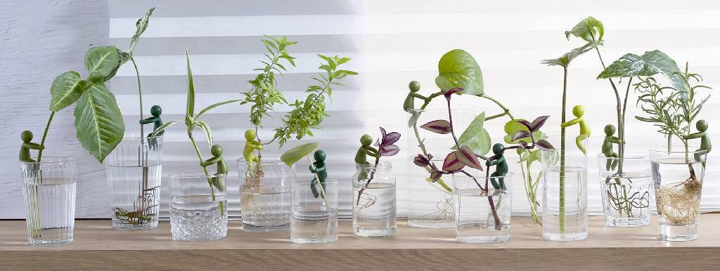 Peleg design Leafriends sfeerbeeld