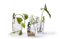 Peleg design Leafriends sfeer