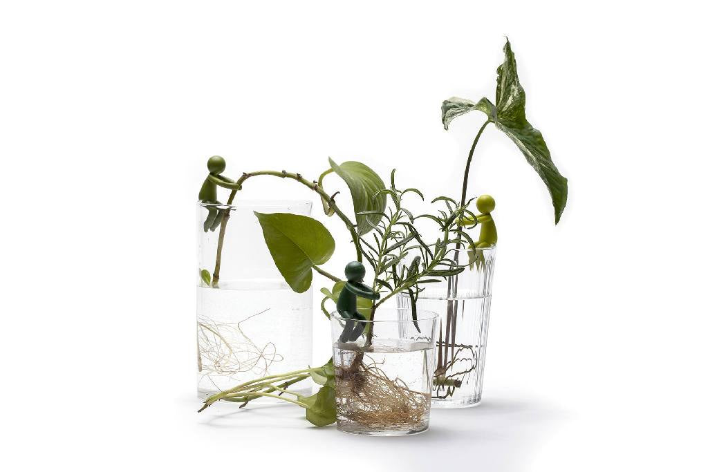 Peleg design Leafriends werkwijze