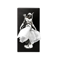 Spextrum Tissuehouder Tissue Up Mythologie - Artemis