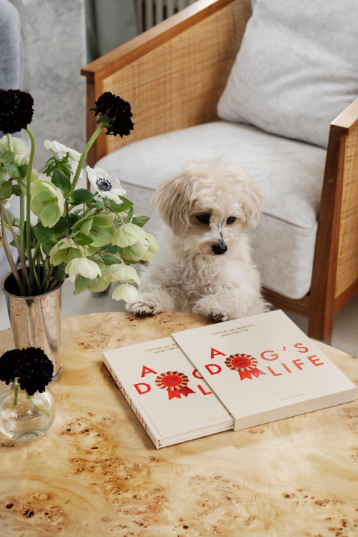 Printworks Honden journal - Het leven van een hond