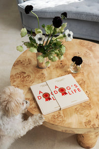 Printworks Honden journal - Het leven van een hond