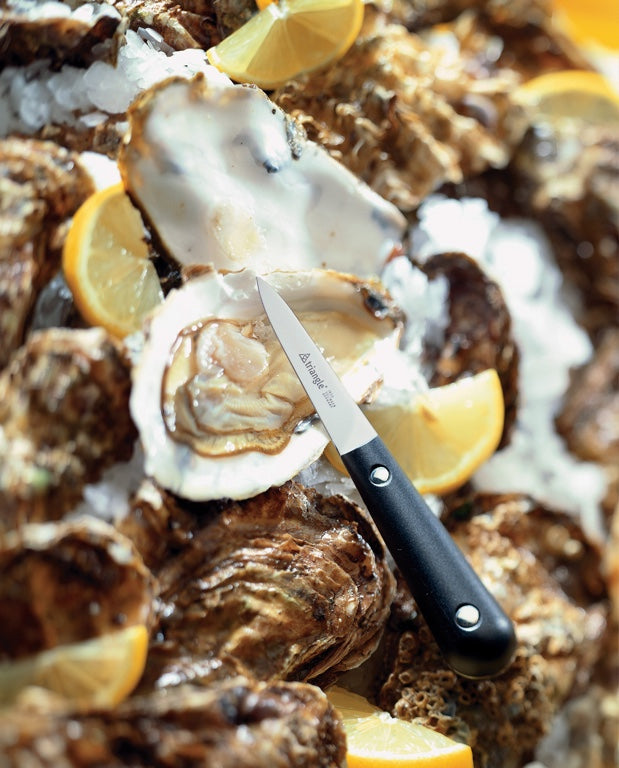 Triangle Oestermes - Zwart - in doos 16 cm sfeerfoto