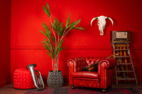 Künstliche Areca-Palme von Neverleafs, 180 cm