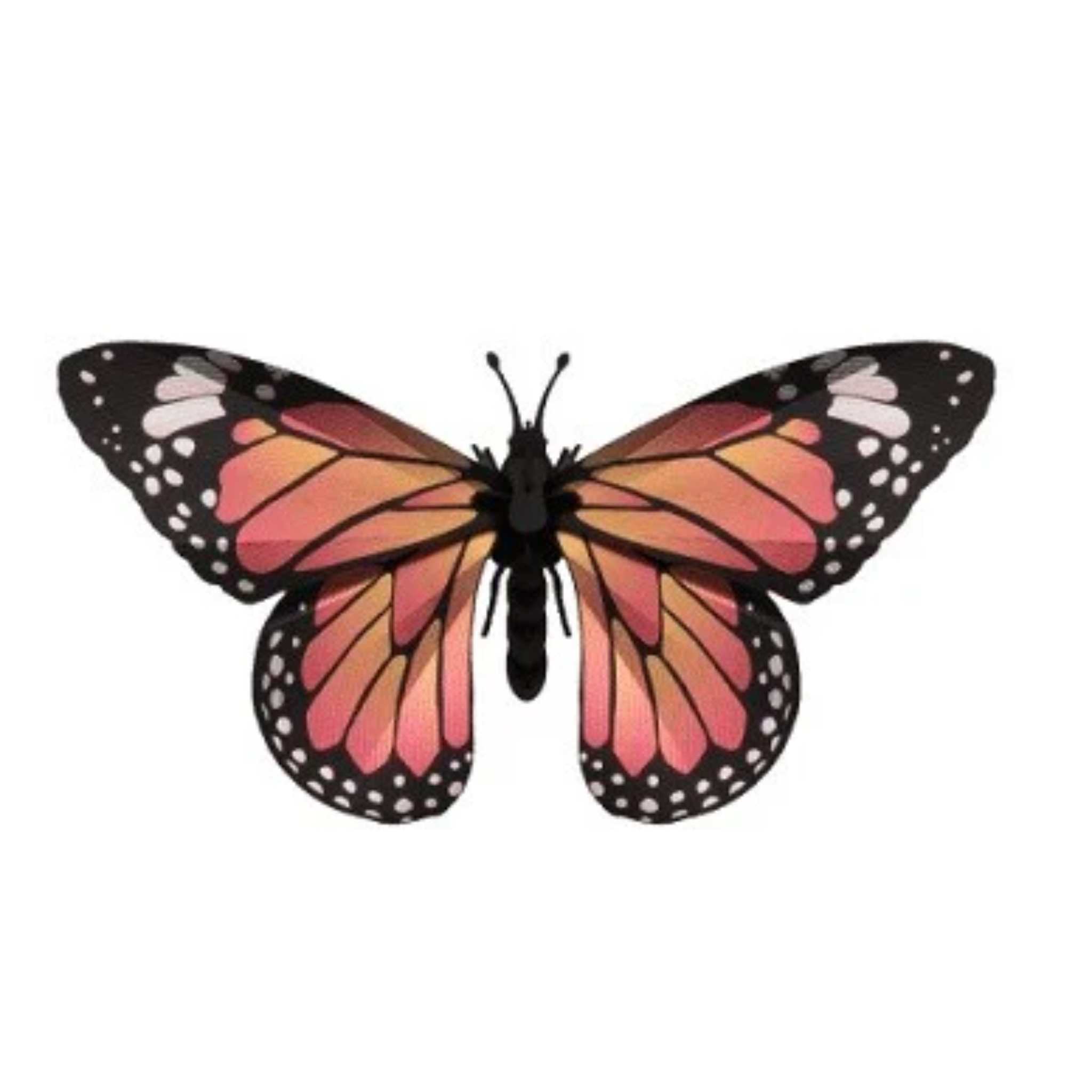 Assembli 3D-puzzel Vlinder Monarch Butterfly op witte achtergrond