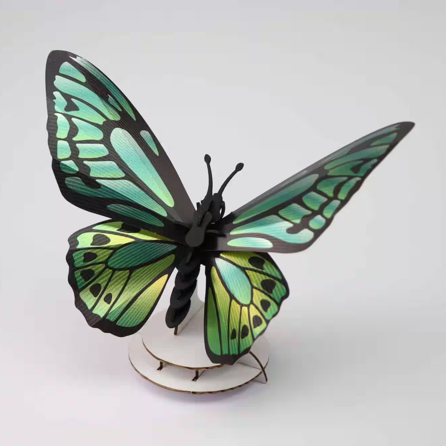 Assembli 3D-puzzel Green Birdwing vlinder van papier op een kartonnen standaard.