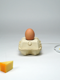 Eierkartonlampe Mais