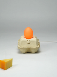 Eierkartonlampe Mais