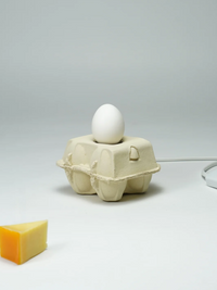 Eierkartonlampe Mais