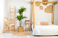 Neverleafs Kunstplant Dracaena Fragnans 150cm