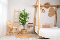 NeverLeafs Eucalyptus kunstplant Deluxe 160 cm