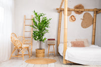 NeverLeafs Eucalyptus kunstplant Deluxe 180 cm