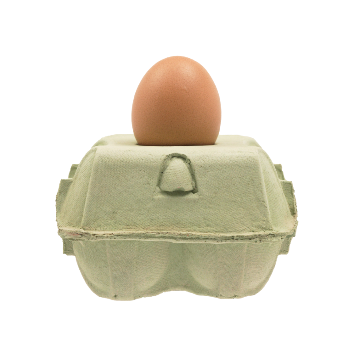 EggboxLAMP Mint vrijstaande afbeelding