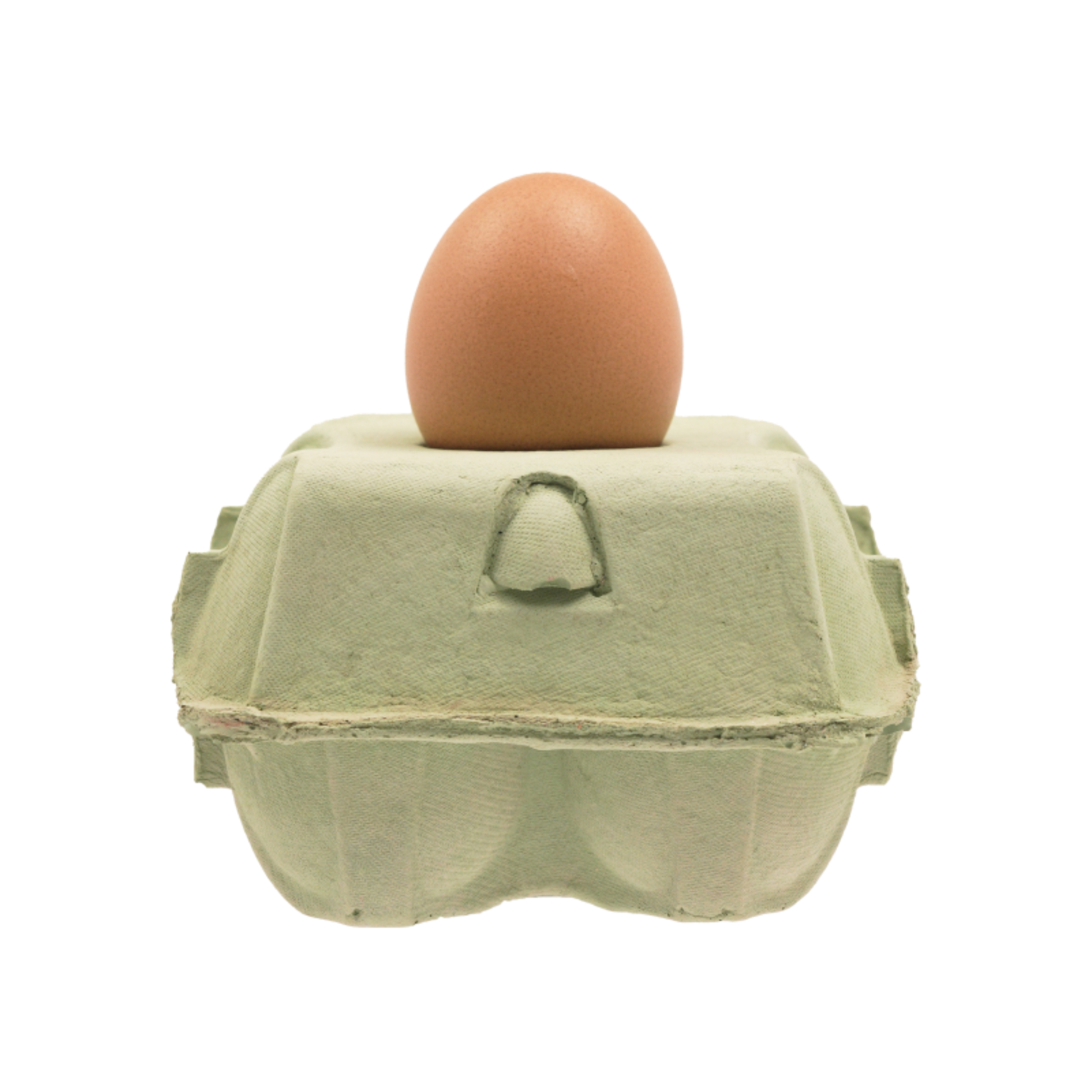 EggboxLAMP Mint vrijstaande afbeelding