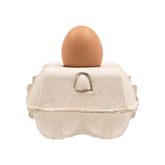 EggboxLAMP_classic_met_bruine_lamp