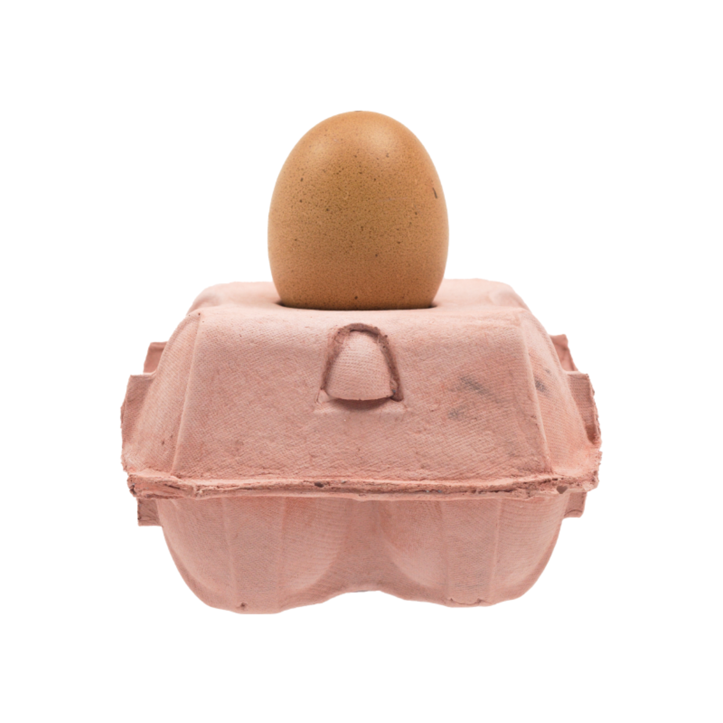 EggboxLAMP_roze_uit