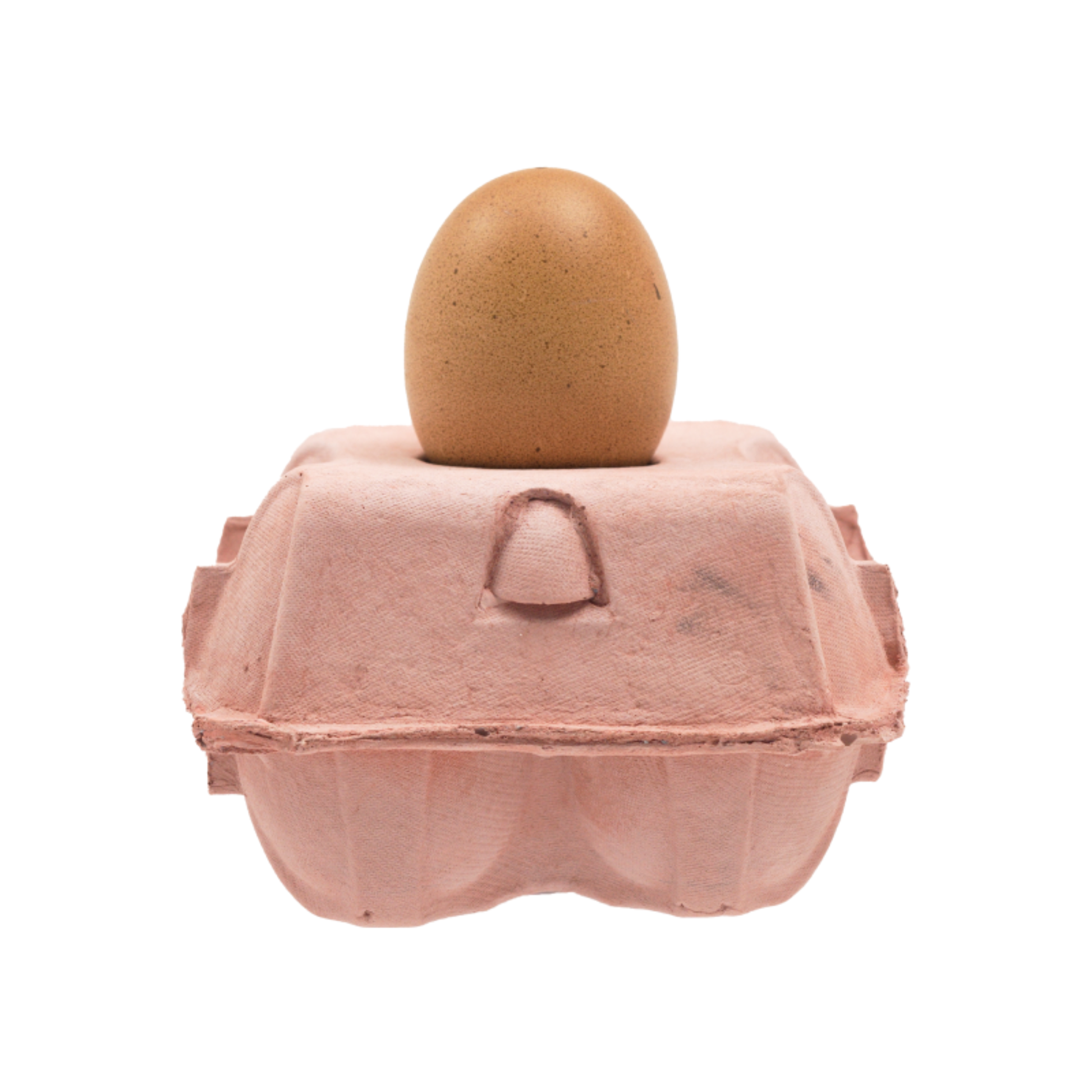 EggboxLAMP_roze_uit
