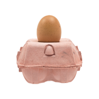 EggboxLAMP_roze_uit